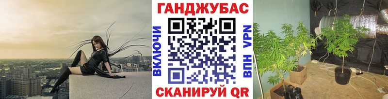 МАРИХУАНА конопля закладки Циолковский